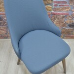 Kollu Sandalye Kılıfı Lakos, Anırasit